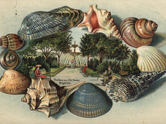 Historic Postcards